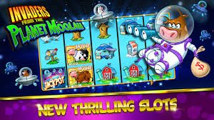 mrcoin888